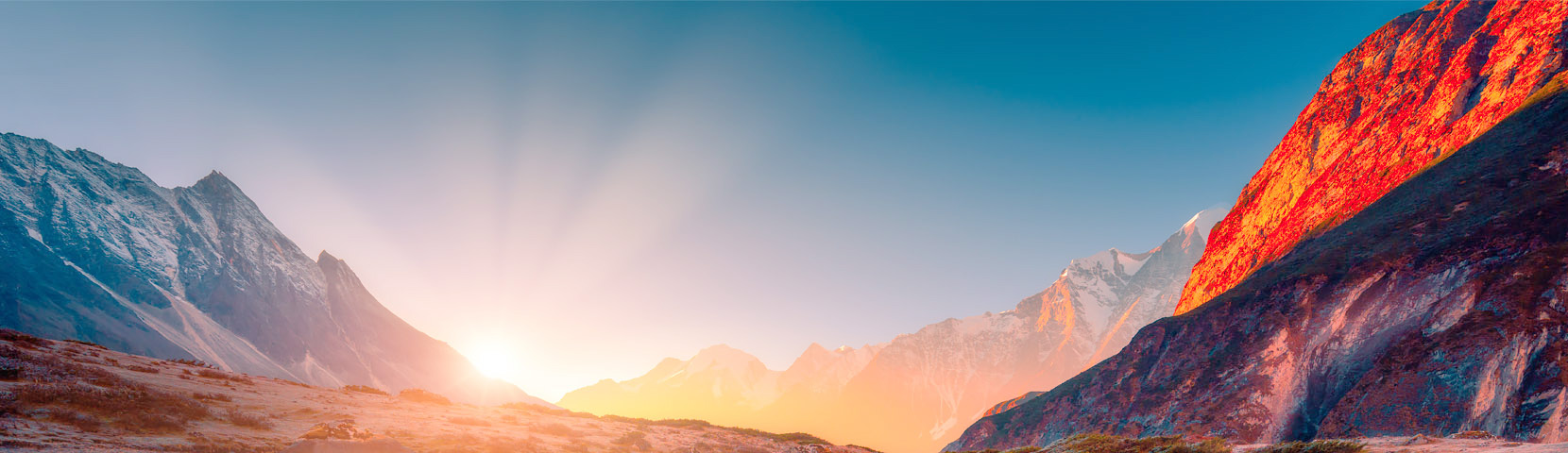 关于bibo必博